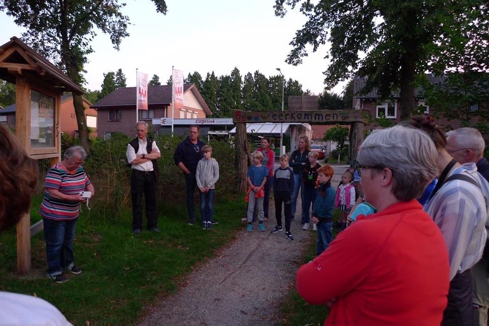 Vleermuisexcursie in de nacht van de Vleermuis